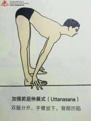 -Yvon yoga 瑜伽·精准体态管理中心
