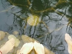 -西安国际创新人才交流中心•药浴温泉