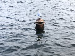 -海德公园