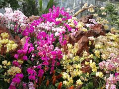-北京植物园-展览温室