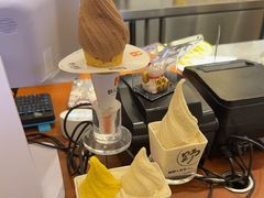 -野人先生Gelato(上海长宁龙之梦店)