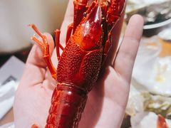 高压锅小龙虾-蚝魁竹笼蒸生蚝 余杭店