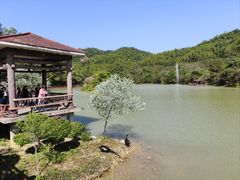 -广州白江湖森林公园