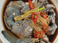 -煲来饱去冷水鱼