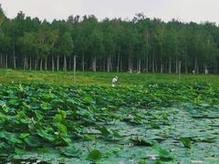 -长春市南湖公园