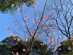 -桃花涧