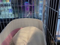 -vimi便利店酒吧