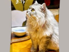 -南枝小馆(银鱼巷店)
