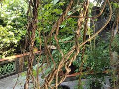 -广州神农草堂中医药博物馆