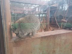 -昆明动物园