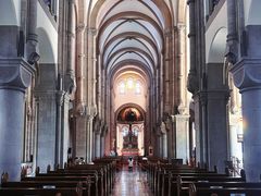 -上海佘山国家森林公园西佘山园