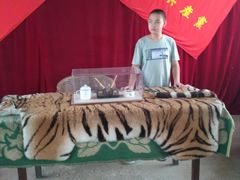 -西柏坡纪念馆