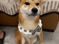 -麦当劳(杭州三花国际店)