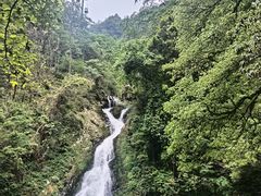 -井冈山风景名胜区