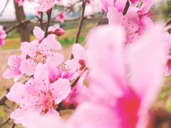 -白鹭湾湿地公园