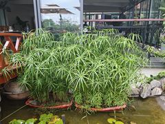 -蘇河湾·新鲁菜·泰山宴(泰山店)