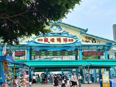 -海合安成都极地海洋公园