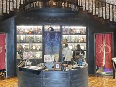 -雪灵魔法世界SHELLY’S TAROT(大良桂畔里店)