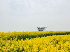 -三圣花乡旅游区