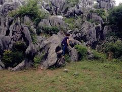 -千岛湖石林