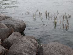 -蠡湖大桥公园