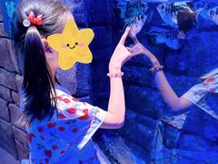 -沈阳海洋探索中心