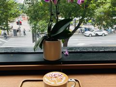 -Peet's Coffee皮爷咖啡(大学路店)
