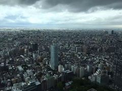 -东京都厅舍