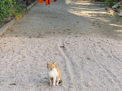 -查龙寺