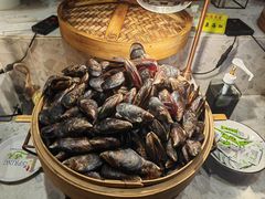 -春天烤肉自助餐厅(南内环店)