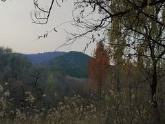 -国家植物园南园