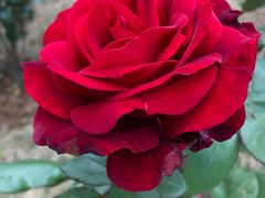 -豪约客牛排(百大奥莱店)