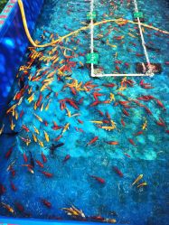 -萌宠亲子动物乐园(槐房万达店)