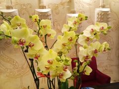 -湖北味道(湖北大厦店)