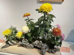 -汇龙潭