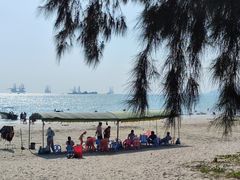 -广东惠东海龟国家级自然保护区
