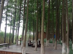 -苏州太湖湖滨国家湿地公园