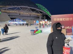 -沈阳奥体冰雪嘉年华