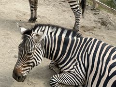 -水上乐园·欢乐世界