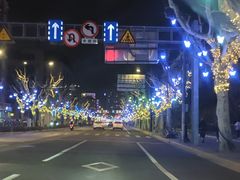 -阿莉餐厅(枣阳路店)