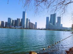 -天鹅湖体育公园