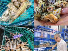 -四川小胡子海鲜(丁村万人海鲜广场店)