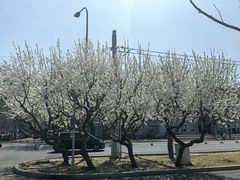 -味多美蛋糕(苏州街地铁店)