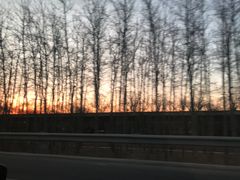 -止观小馆·辽河口渔家菜(王府井店)