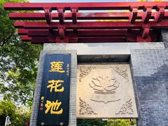 -莲花池公园