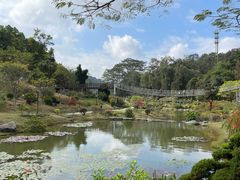 -东莞植物园