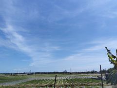 -林旺社区水果市场