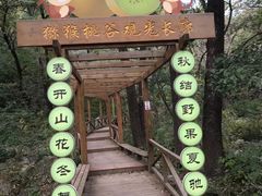 -大岭沟猕猴桃谷风景区