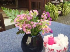 -Dash Teak House