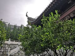 -屈原故里文化旅游区